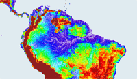 Wet echoes from ERS-1 Radar Altimeter over the Amazon River Basin